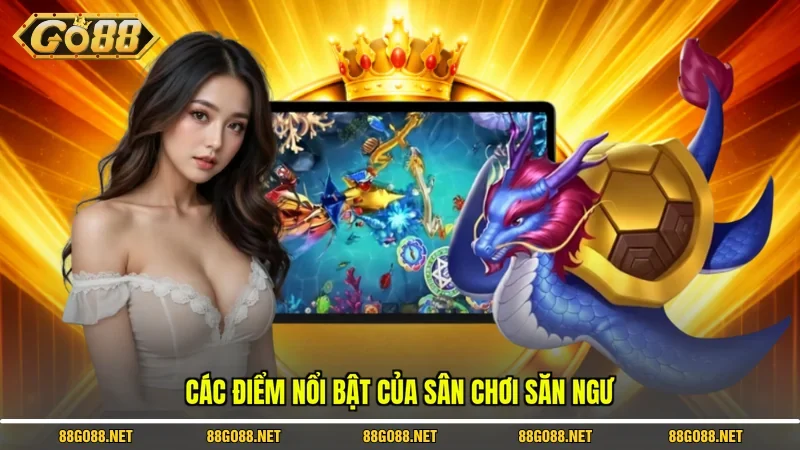 Các điểm nổi bật của sân chơi săn ngư 